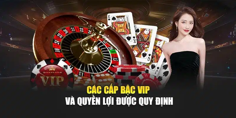 Các cấp bậc VIP và quyền lợi được quy định