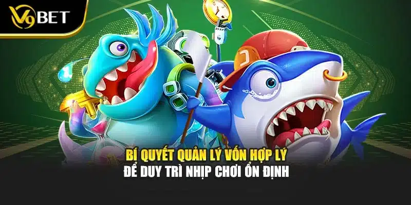 Bí quyết quản lý vốn hợp lý để duy trì nhịp chơi ổn định