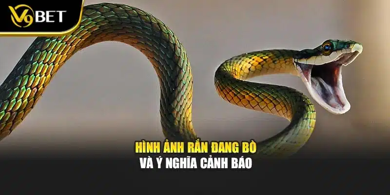 Hình ảnh rắn đang bò và ý nghĩa cảnh báo